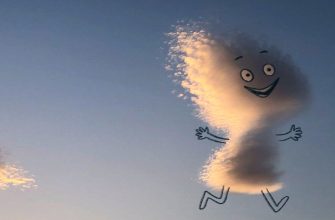 Как ваше эмоциональное поле формирует реальность