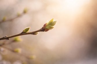 Новая весна: с чем вы в неё входите